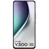 vivo Y300