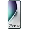 vivo Y300