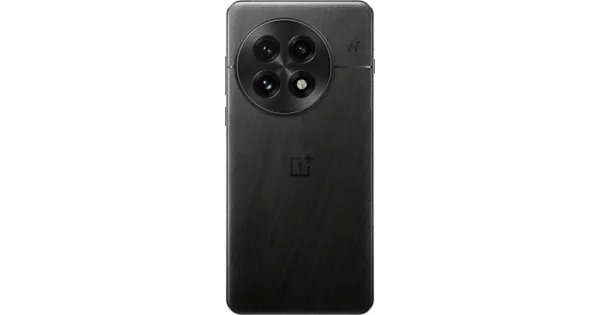 OnePlus 13