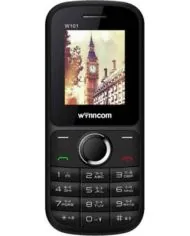 Wynncom W101