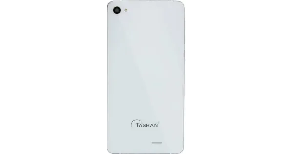 Tashan TS821