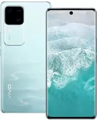 vivo V30