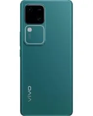 vivo V30